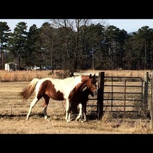 Meet your Posher, Jackie