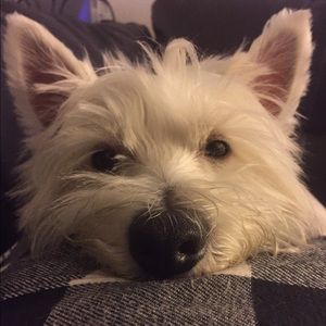 Meet your Posher, Olga