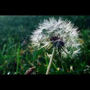 Meet your Posher, Brittney