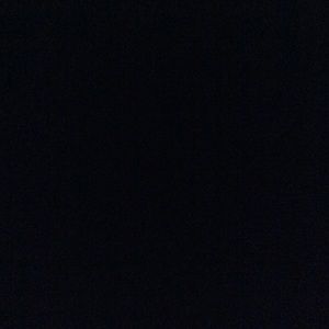 Meet your Posher, Sammy