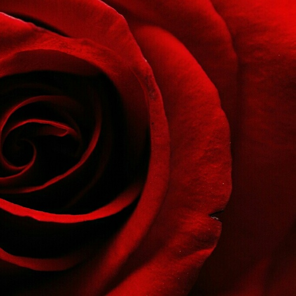 Meet your Posher, Isabel - Picture 1 of 1