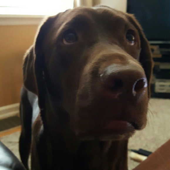 Hello All! - Picture 2 of 4