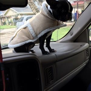 Meet your Posher, Dolores