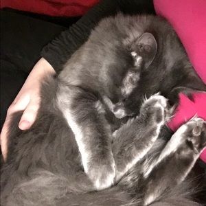 Meet your Posher, Margaret