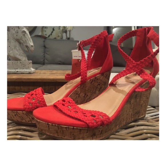 Coral Wedges❣