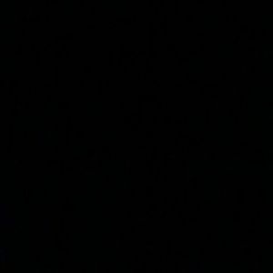 Meet your Posher, Brittney