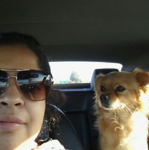 Meet your Posher, Annie