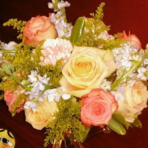 Meet your Posher, Dimitria