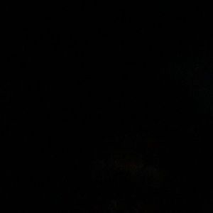 Meet your Posher, Tamara