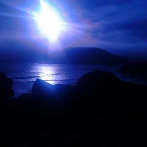 Meet your Posher, Jane