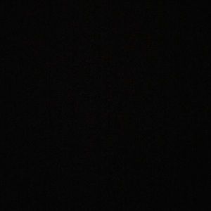 Meet your Posher, Shantel