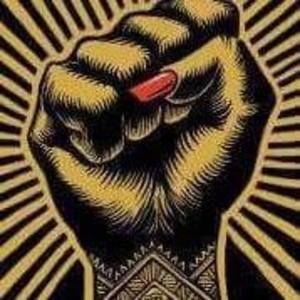 Meet your Posher, Michele