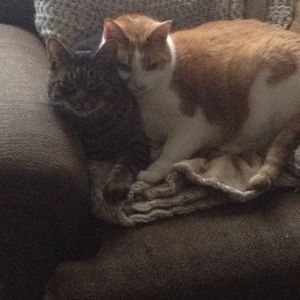 Meet your Posher, Jackie