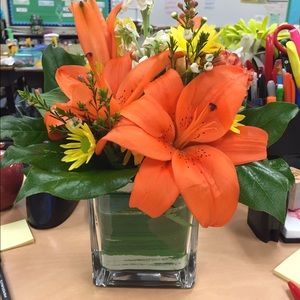 Meet your Posher, Joni