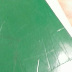 Meet your Posher, Max