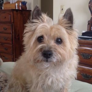 Meet your Posher, Carla