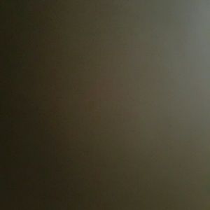 Meet your Posher, Darianisse