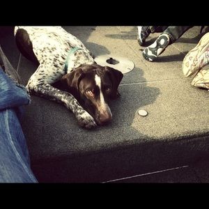 Meet your Posher, Ananda