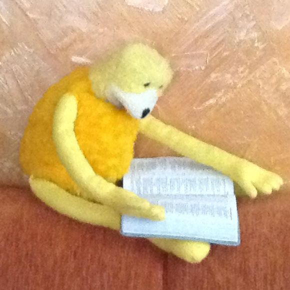 Meet your Posher, Rocio - Picture 1 of 1