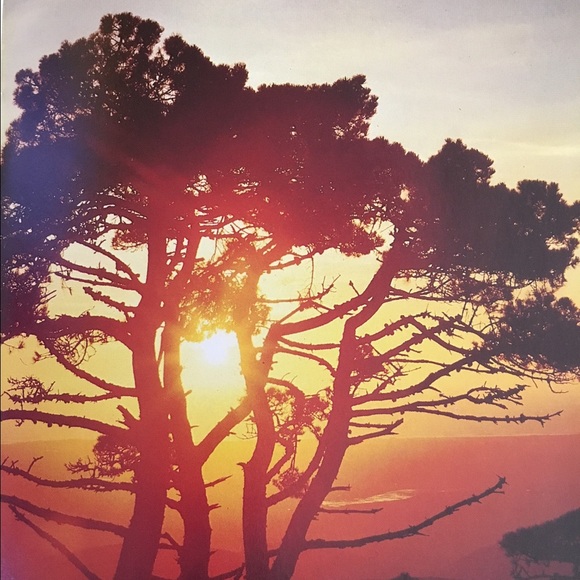 Meet your Posher, Kim - Picture 4 of 10