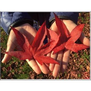 Meet your Posher, Raquel