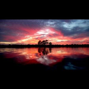 Meet your Posher, Misty