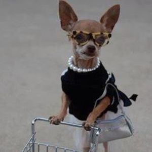 Meet your Posher, Becky