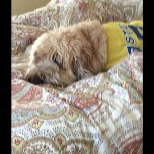 Meet your Posher, Raeana