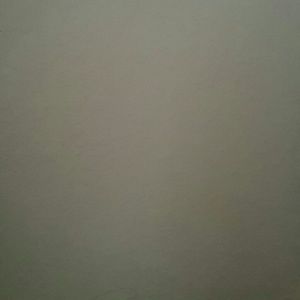 Meet your Posher, Arya