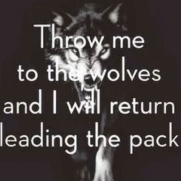 Meet your Posher, Magary - Picture 1 of 1