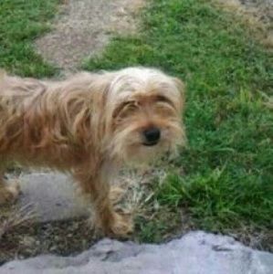 Meet your Posher, Eva