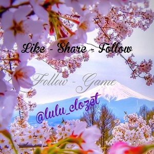 💕Follow Game💕 lulu_clozet
