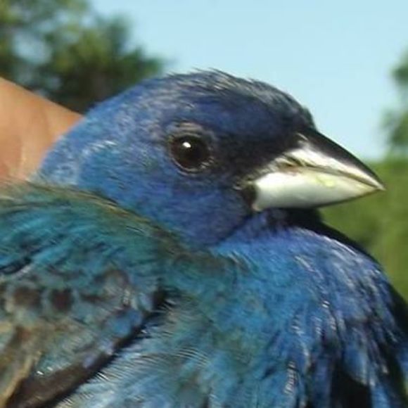 Meet your Posher, Todd - Picture 1 of 1