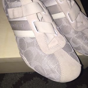 Grey and white coach