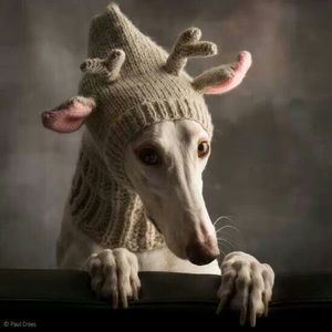 Meet your Posher, Gail