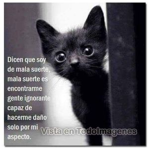 Meet your Posher, Araceli