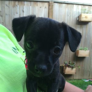 Meet your Posher, Lisa