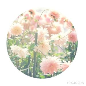 Meet your Posher, Carter