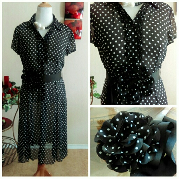 Madison Leigh Dresses & Skirts - Sheer Polka Dot Ruffle Dress + NWT WHBM Sash