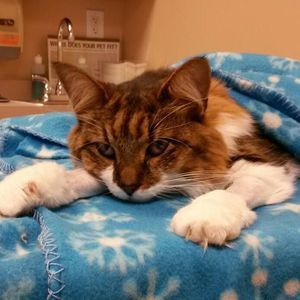 Meet your Posher, Stacey