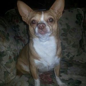 Meet your Posher, Joan