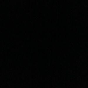 Meet your Posher, Adele