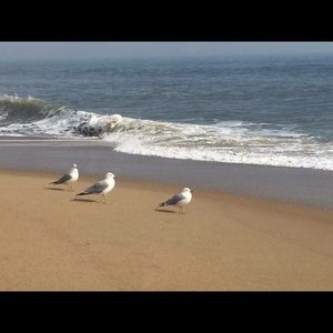 Meet your Posher, Callan