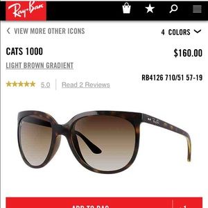 Ray Ban Cat 1000 sunglasses