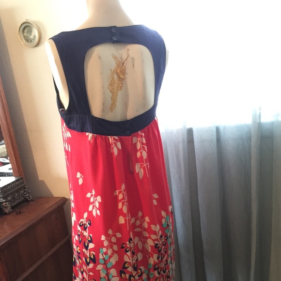 Adorable. - Picture 2 of 2