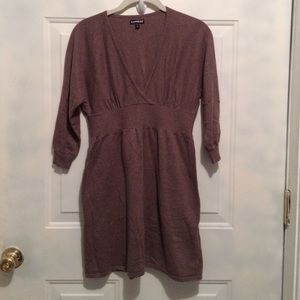 Express sweater dress