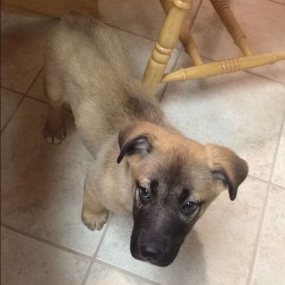 Meet your Posher, Theresa