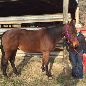 Meet your Posher, Amanda