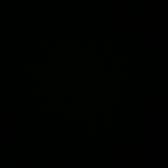 Meet your Posher, Melly - Picture 1 of 1