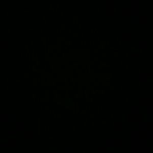 Meet your Posher, Melly